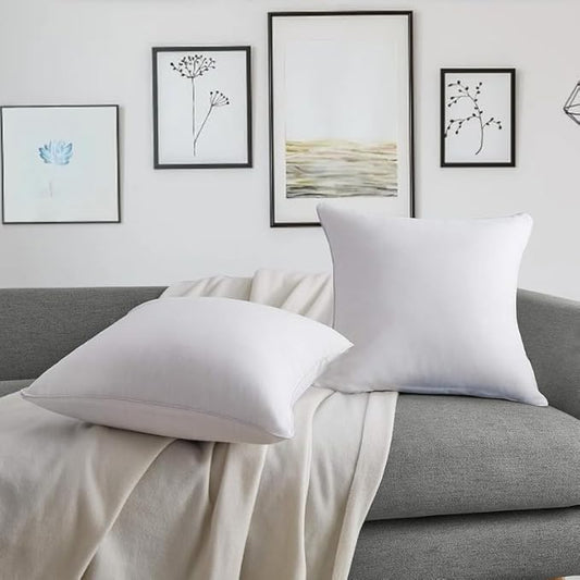 Microfiber Square Cushion for Sofa & Bed Pack of 2 Cushions Filler 14X14 Inch for Decoration Cushion Home_White Color