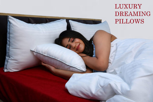 SLEEP TIME Luxury Pillows for Sleeping 2 Pack Standard Size 16"x24" Inches, Hypoallergenic Pillow for Side and Back Sleeper, Soft Bed Gel Pillows Set of 2, Down Alternative Cooling Pillow
